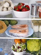 Load image into Gallery viewer, Thawing Net