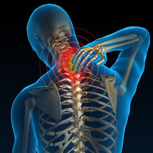 Load image into Gallery viewer, Regenerating Necklace