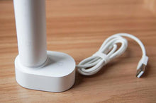 Load image into Gallery viewer, Ultrasonic Toothbrush