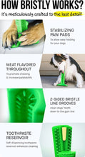 Load image into Gallery viewer, [3 Pack] Doggy's Oral Care

